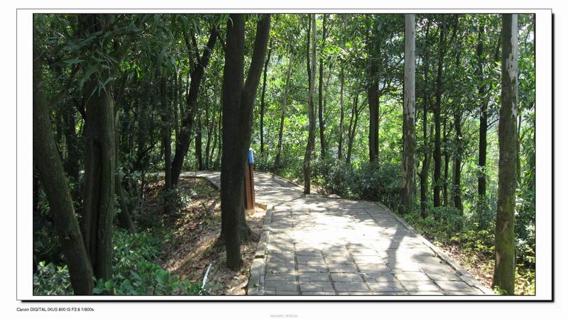 Ƭ 082.jpg
