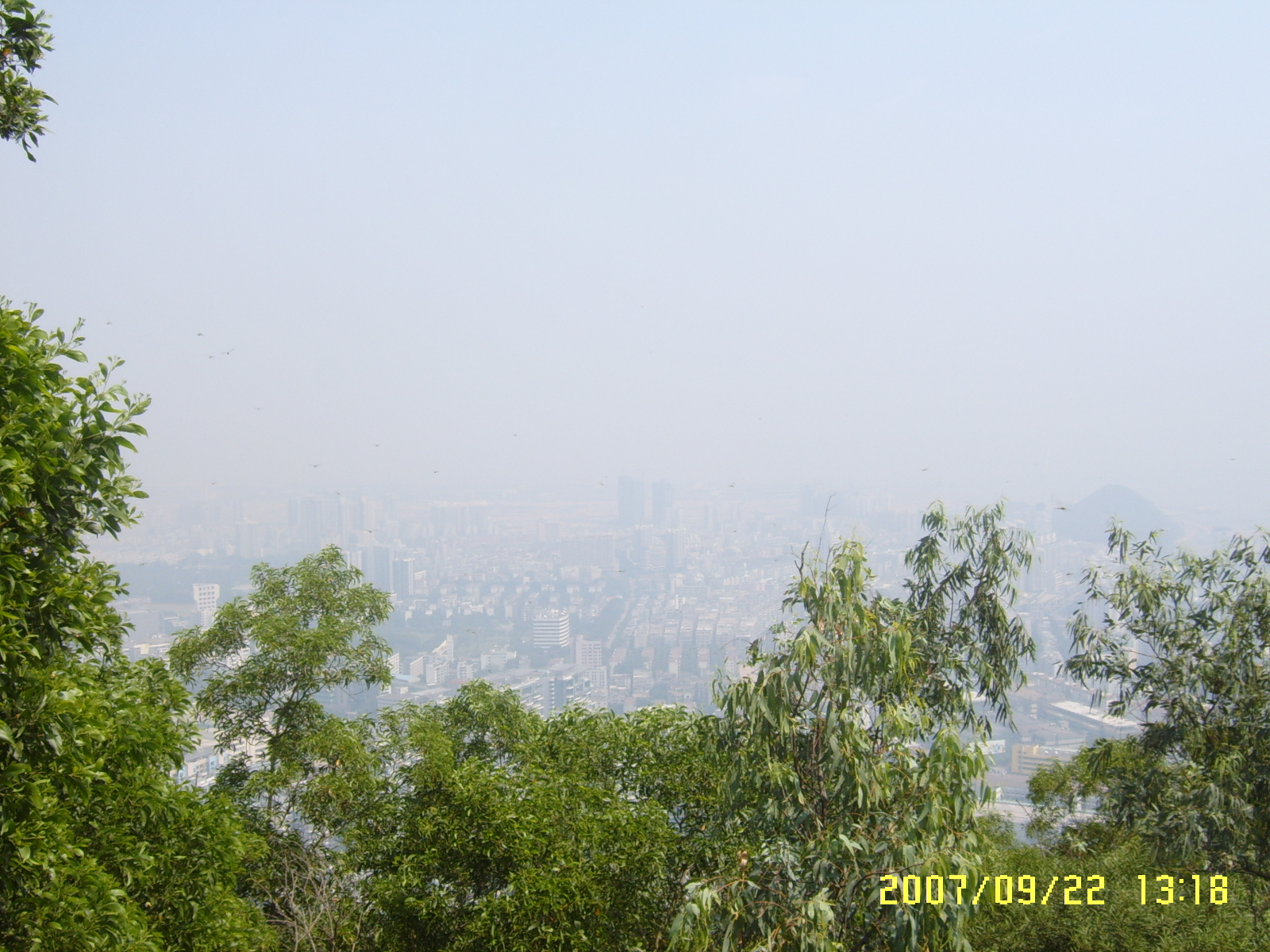 SUC52864.JPG