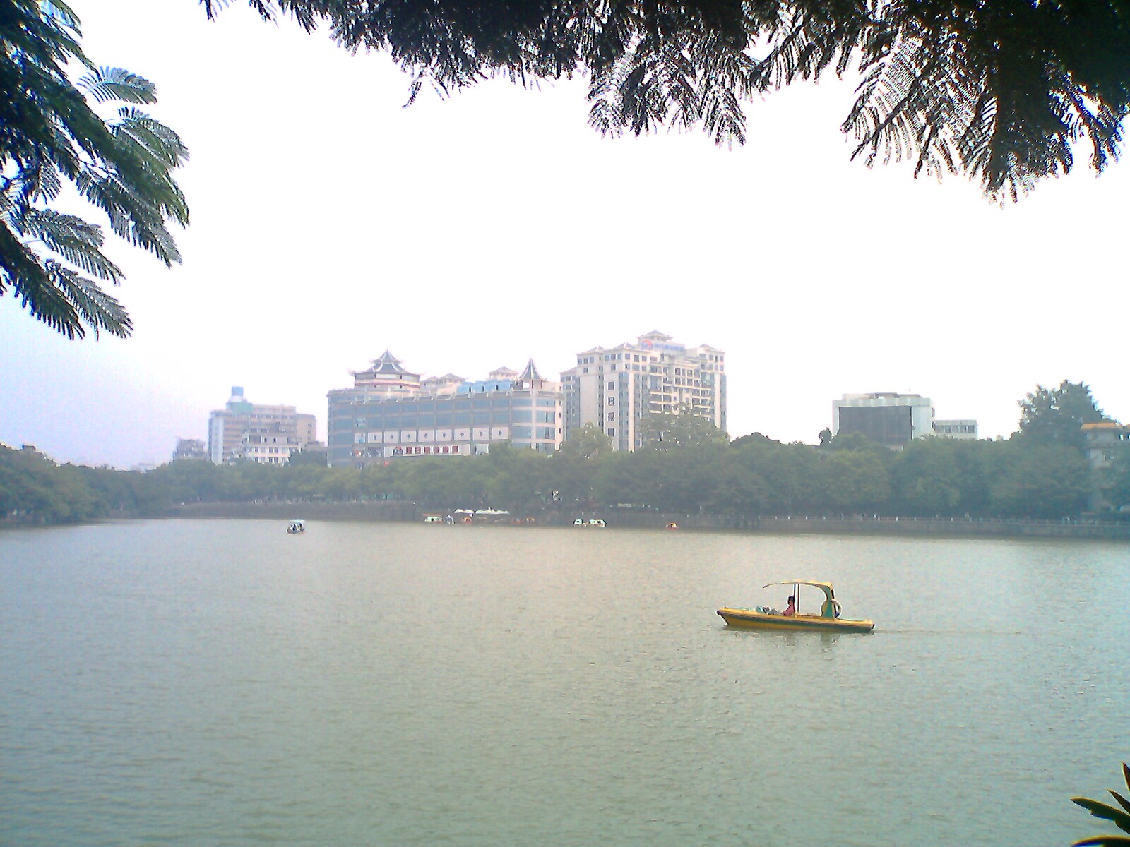 IMG0190A.jpg