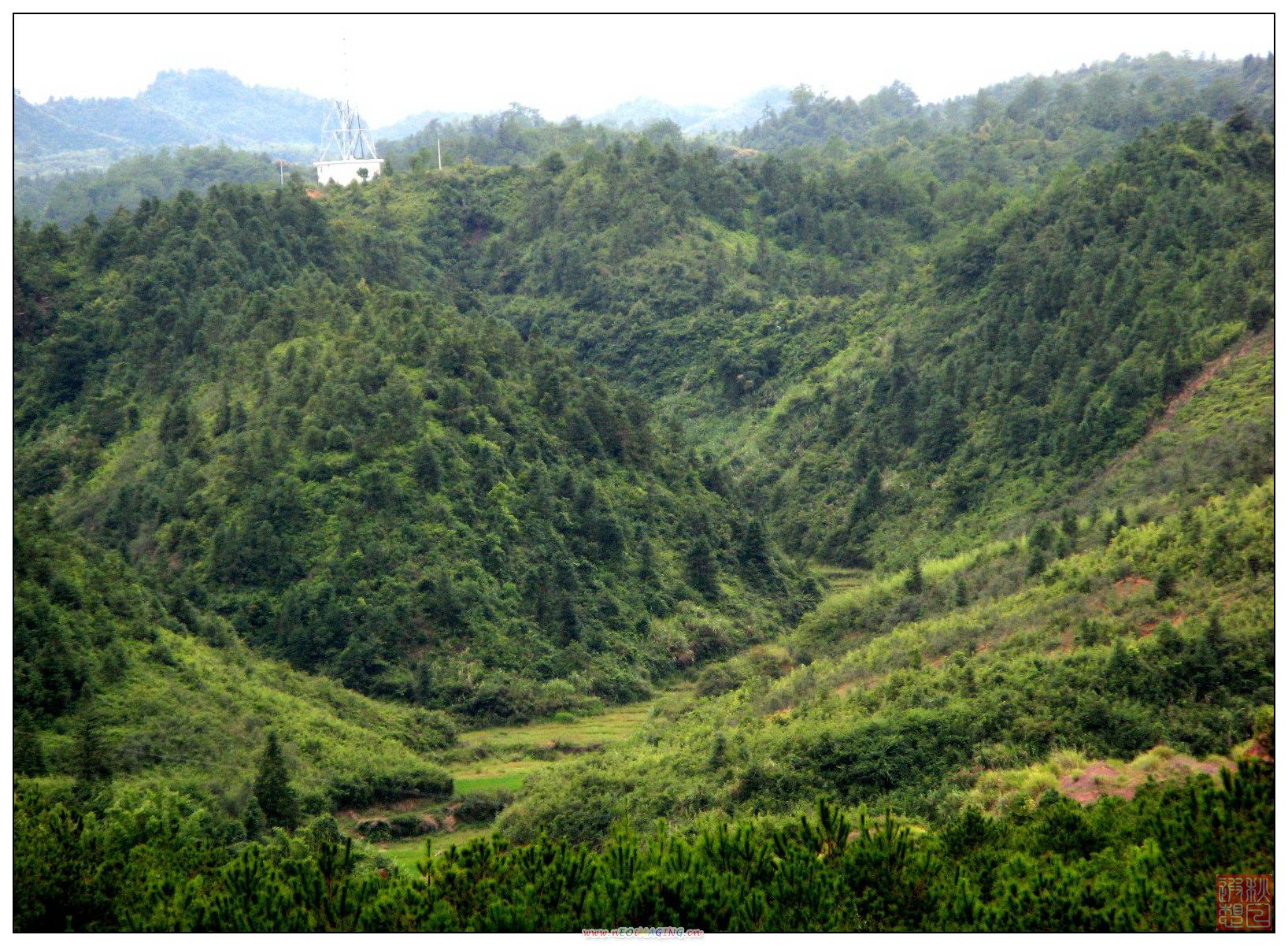 Ƭ 097.jpg