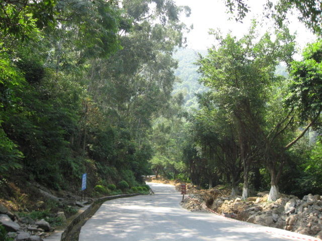 Ƭ 051.jpg