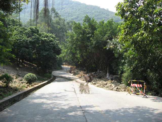Ƭ 049.jpg