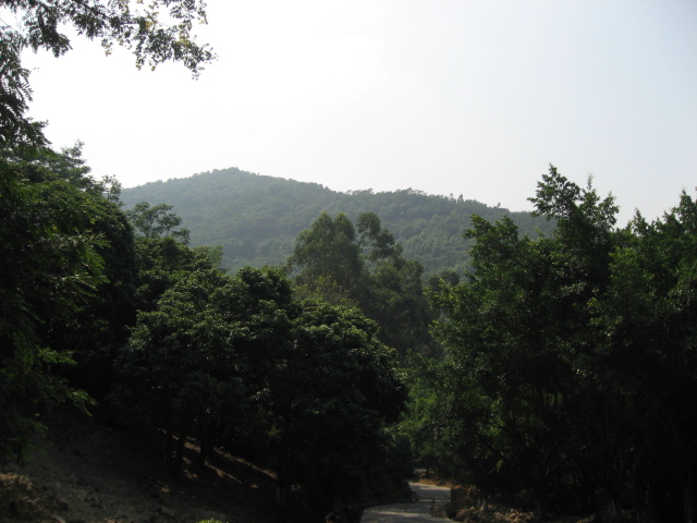 Ƭ 050.jpg
