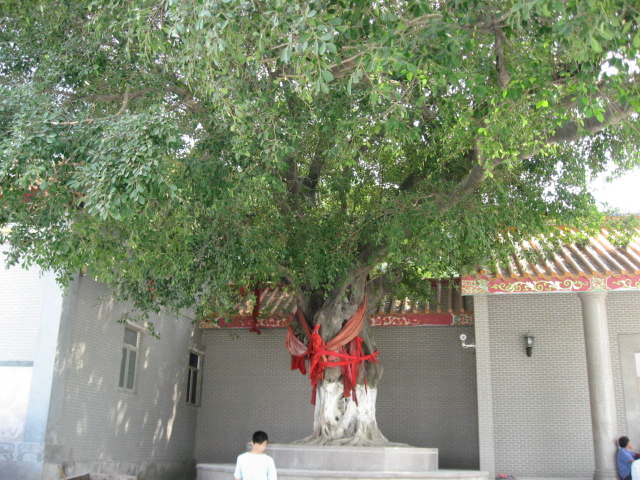 Ƭ 032.jpg