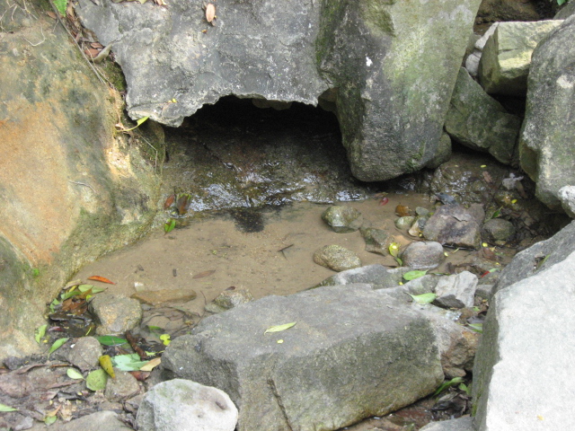 Ƭ 052.jpg