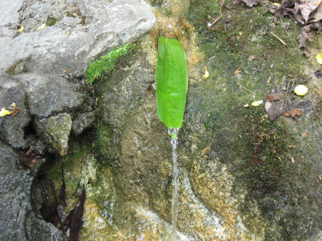 Ƭ 056.jpg