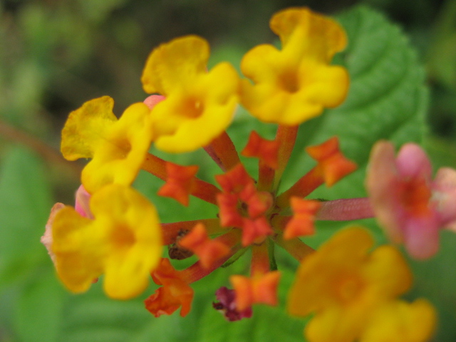 Ƭ 094.jpg