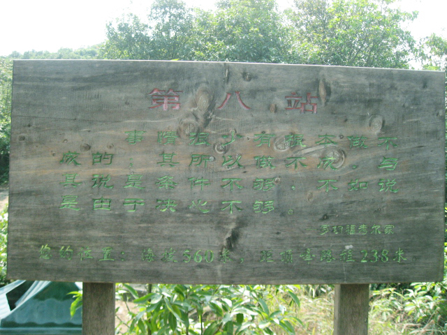 Ƭ 040.jpg