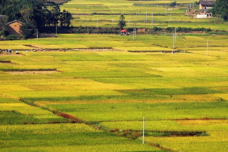 UP956ddd2443497495.jpg