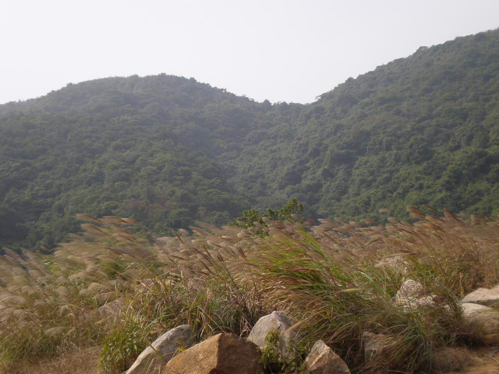 PB180127.jpg