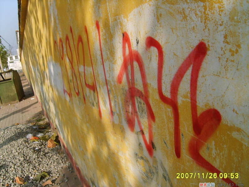 1024x768_177075.jpg