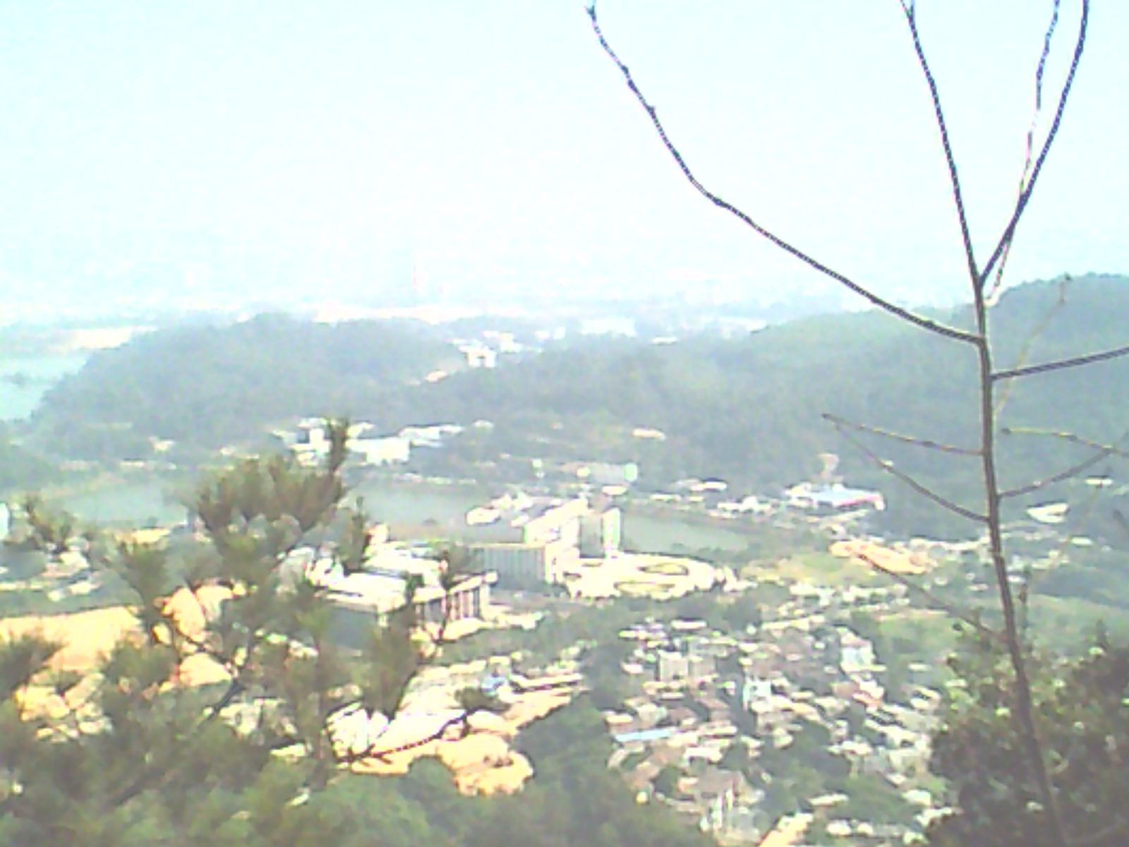 DC0003.jpg