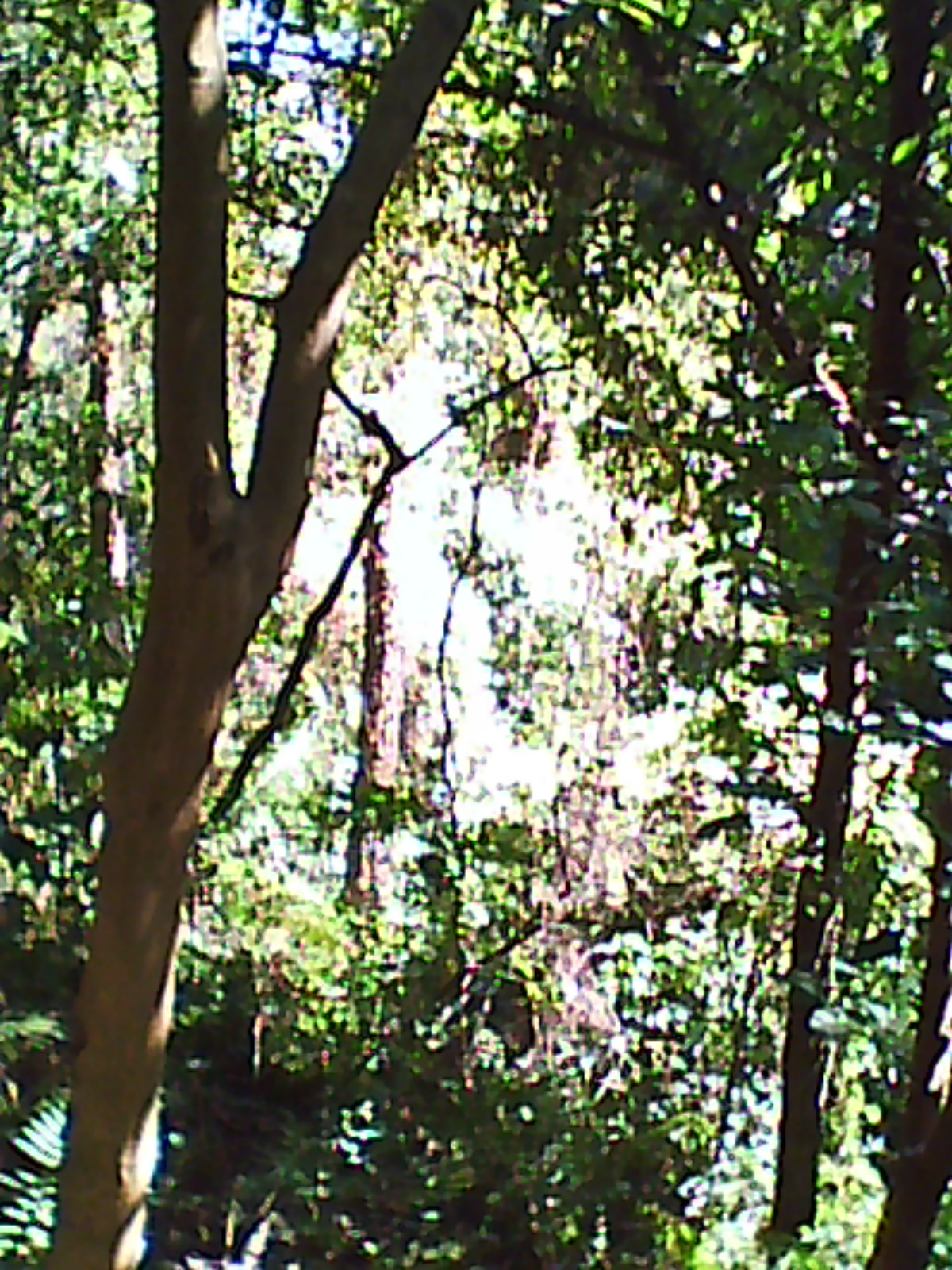 DC0017.jpg