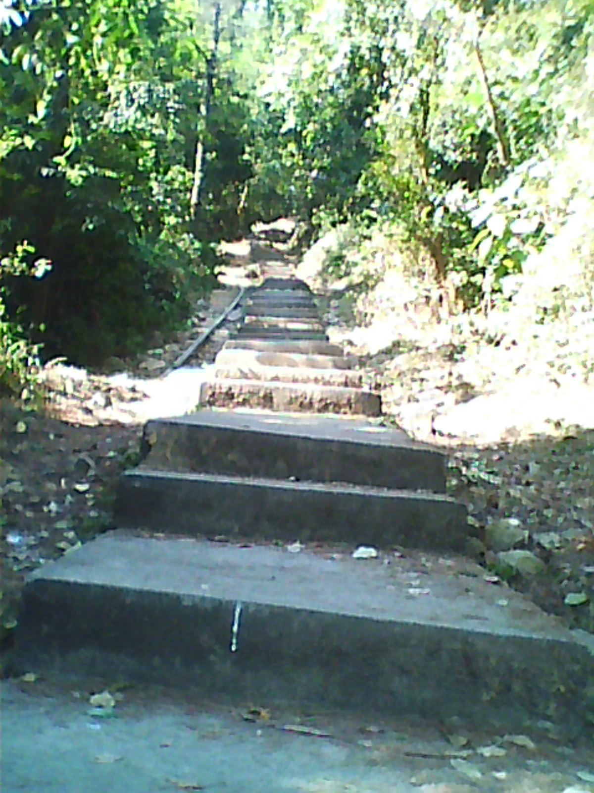 DC0021.jpg