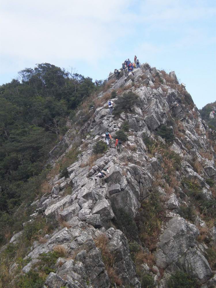 PB250205.jpg