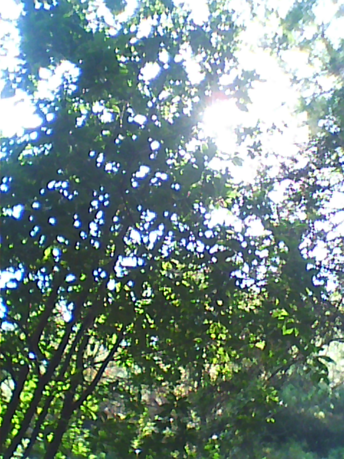 DC0020.jpg
