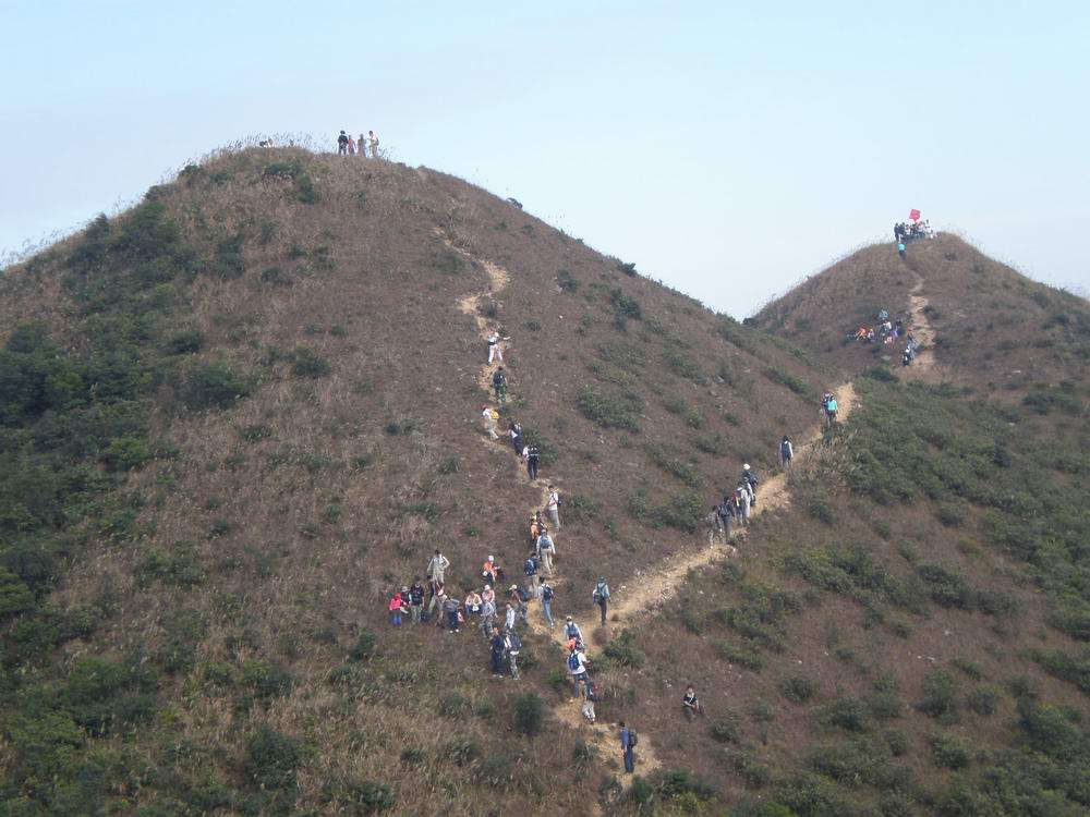 PB250251.jpg