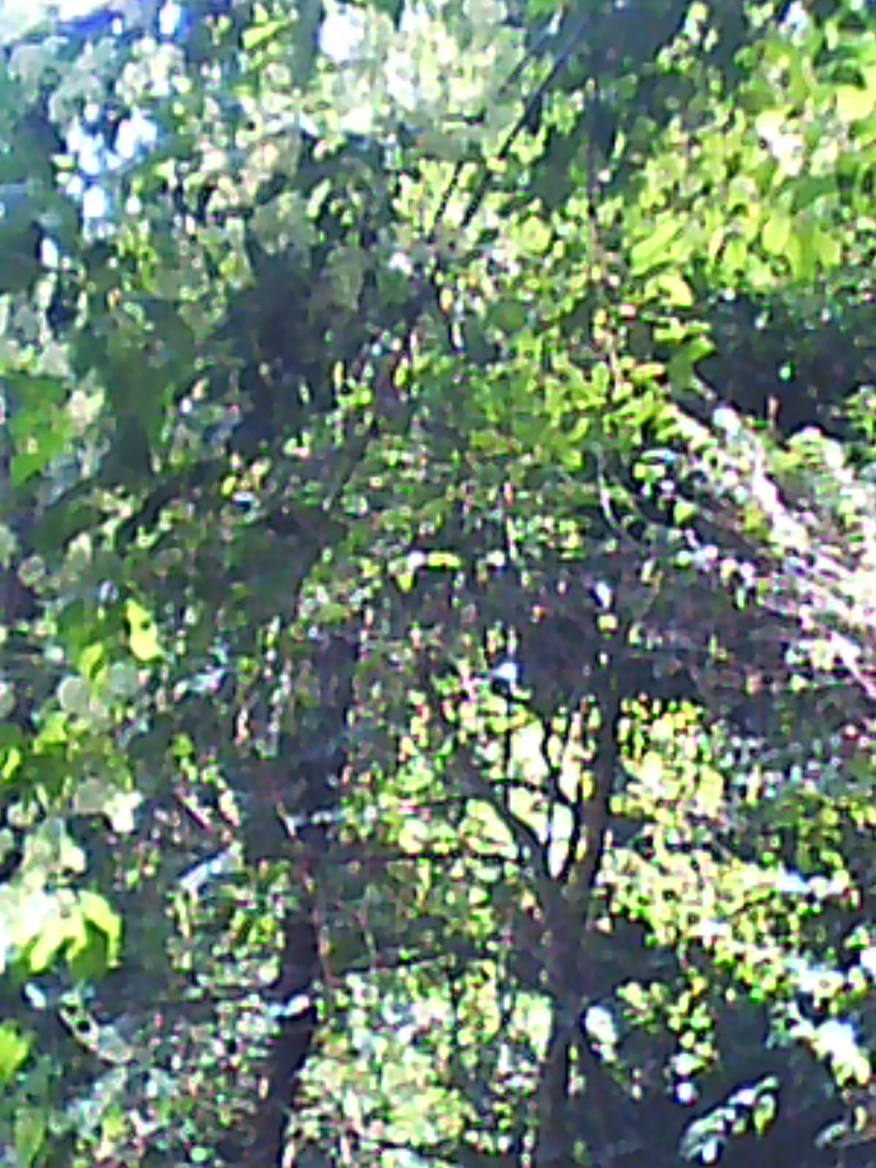 DC0016.jpg