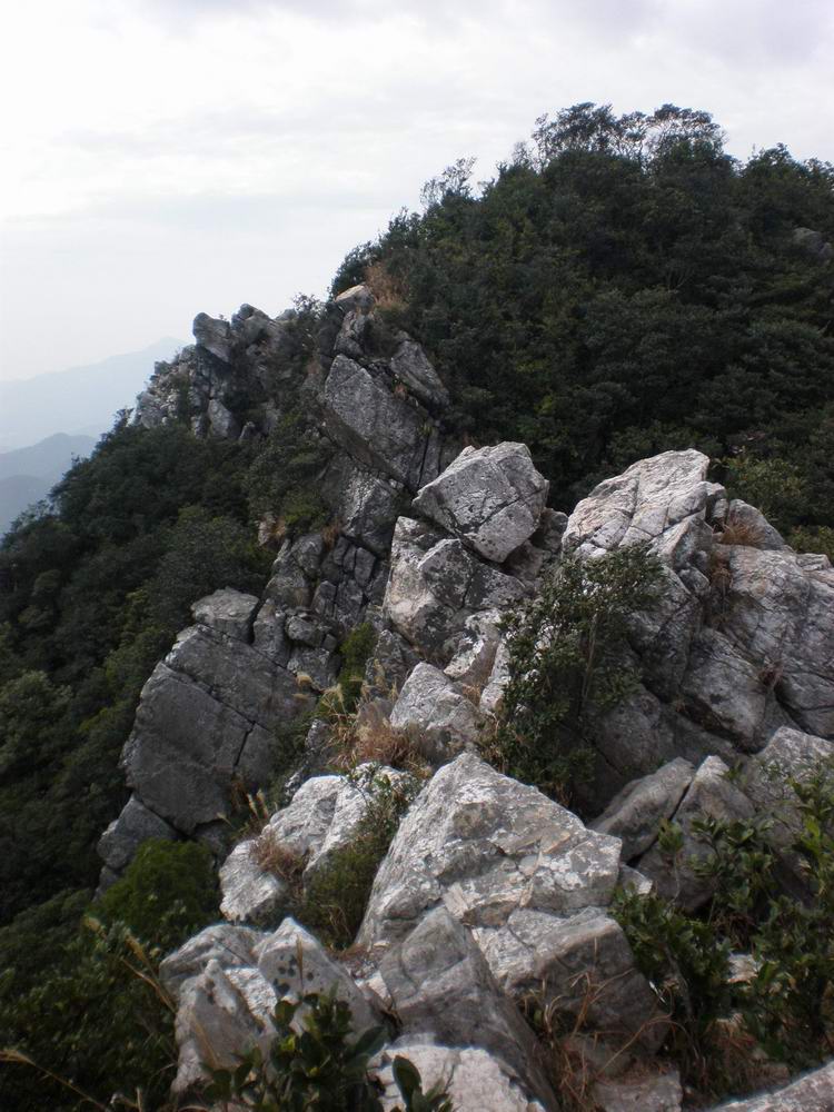 PB250215.jpg