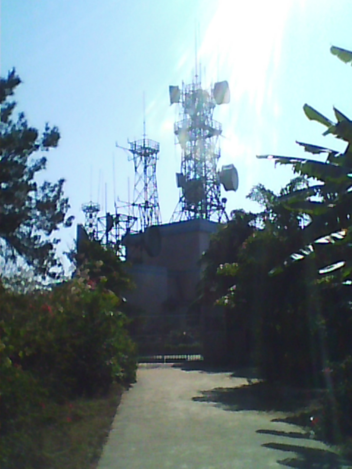 DC0009.jpg