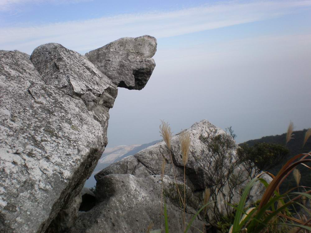 PB250313.jpg