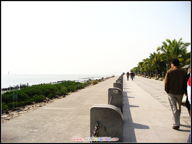 Ƭ 017.jpg