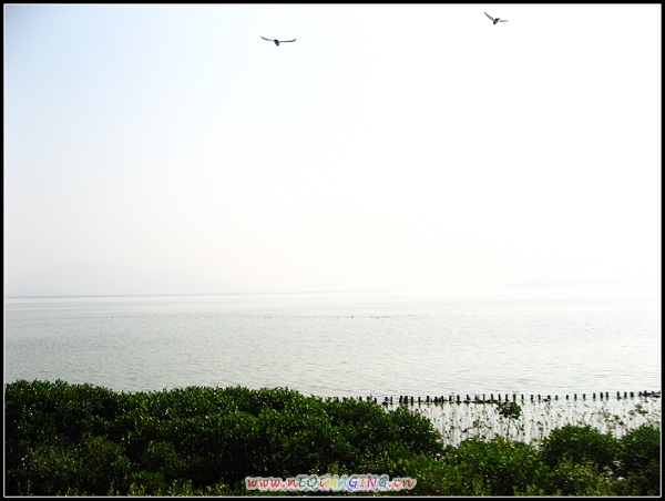 Ƭ 016.jpg