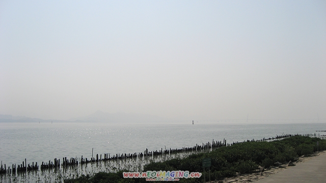 Ƭ 019.jpg