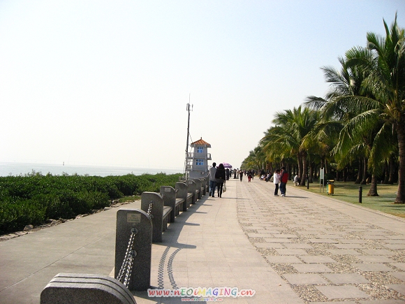 Ƭ 008.jpg