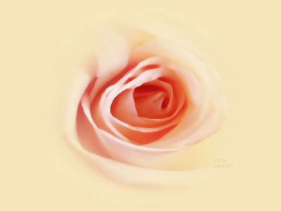 rose0.jpg