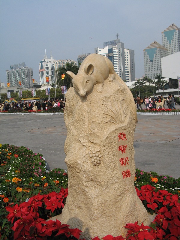 IMG_5695.JPG