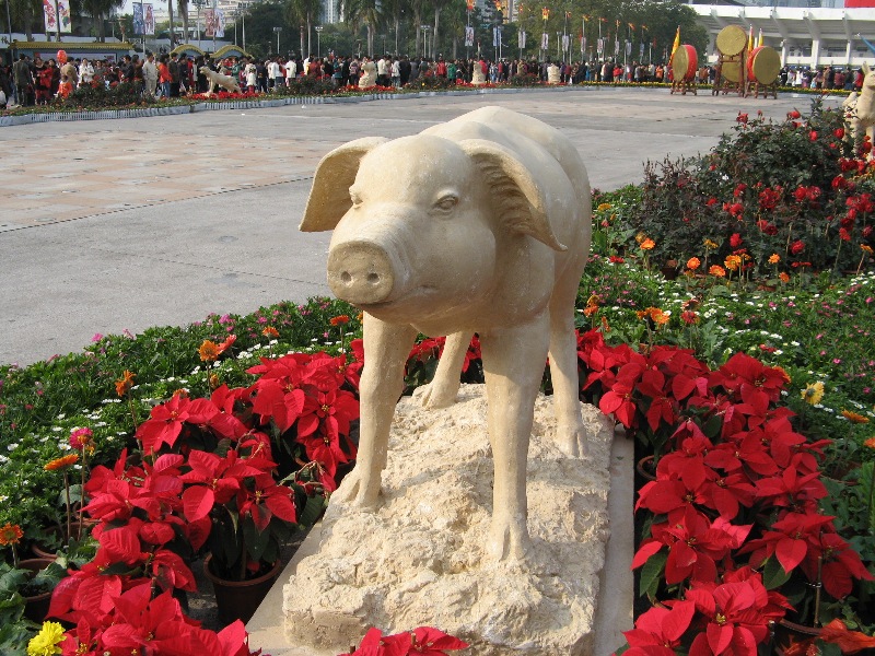 IMG_5691.JPG