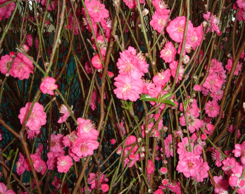 DSC03134.JPG