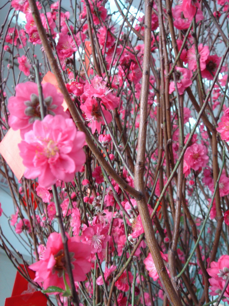 DSC03138.JPG