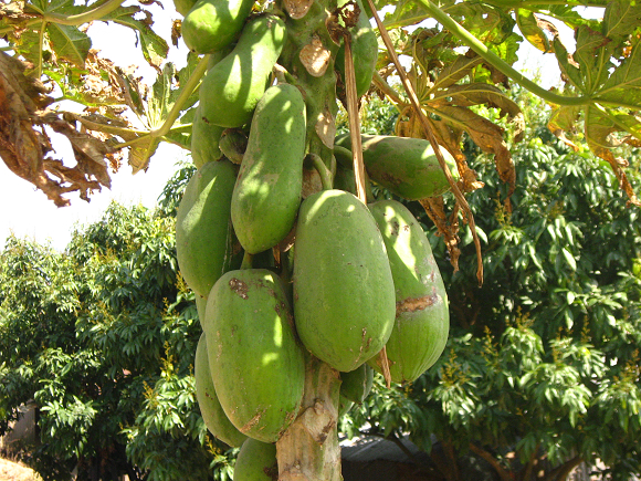 Ƭ 019.jpg