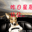9.gif