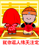 8.gif