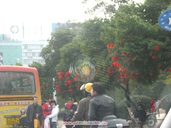Ƭ 098.jpg