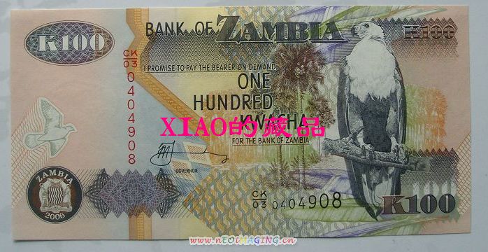 ޱ100.jpg
