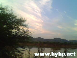 IMG0886A.jpg