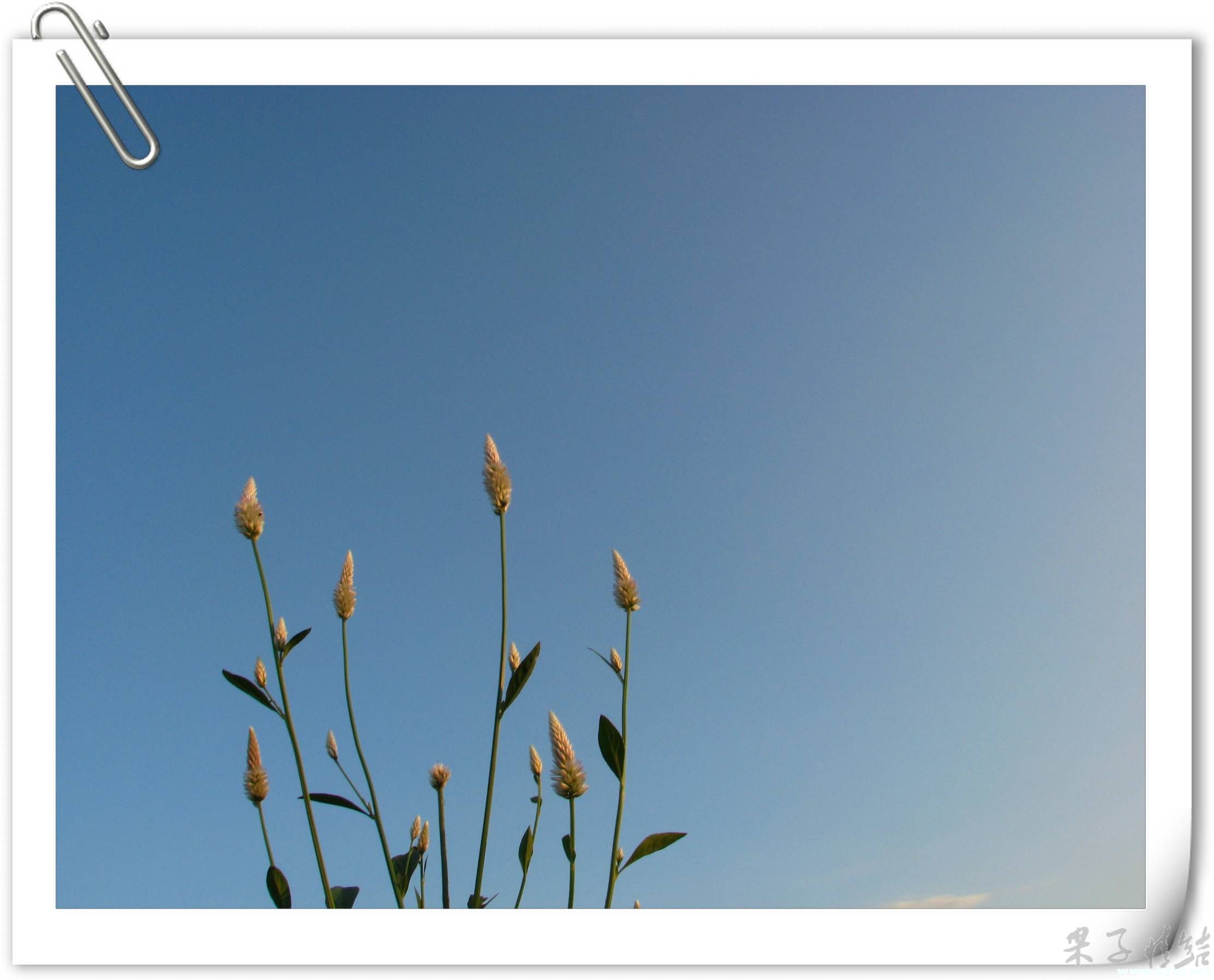Ƭ 005.jpg