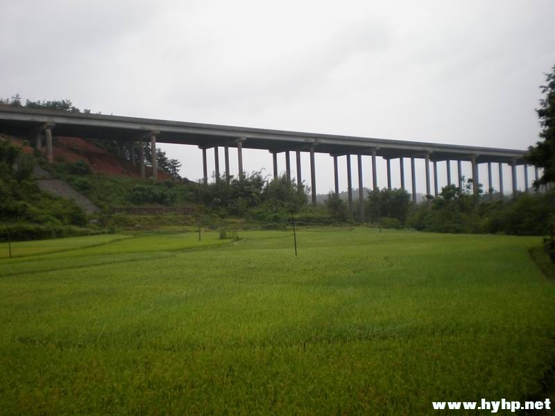 PA060530.jpg