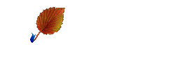 1192768990_0.04213100[1].gif