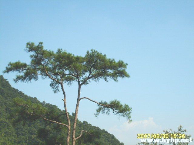 IMG_01 (6).JPG