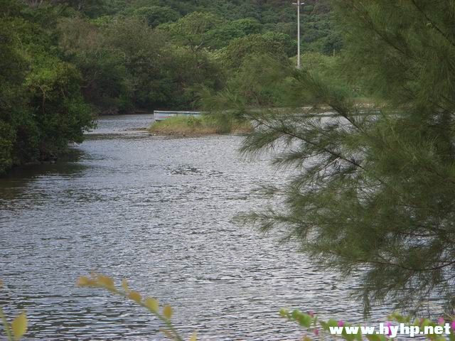 Ƭ 126.jpg