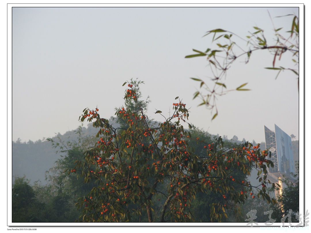 Ƭ 009.jpg