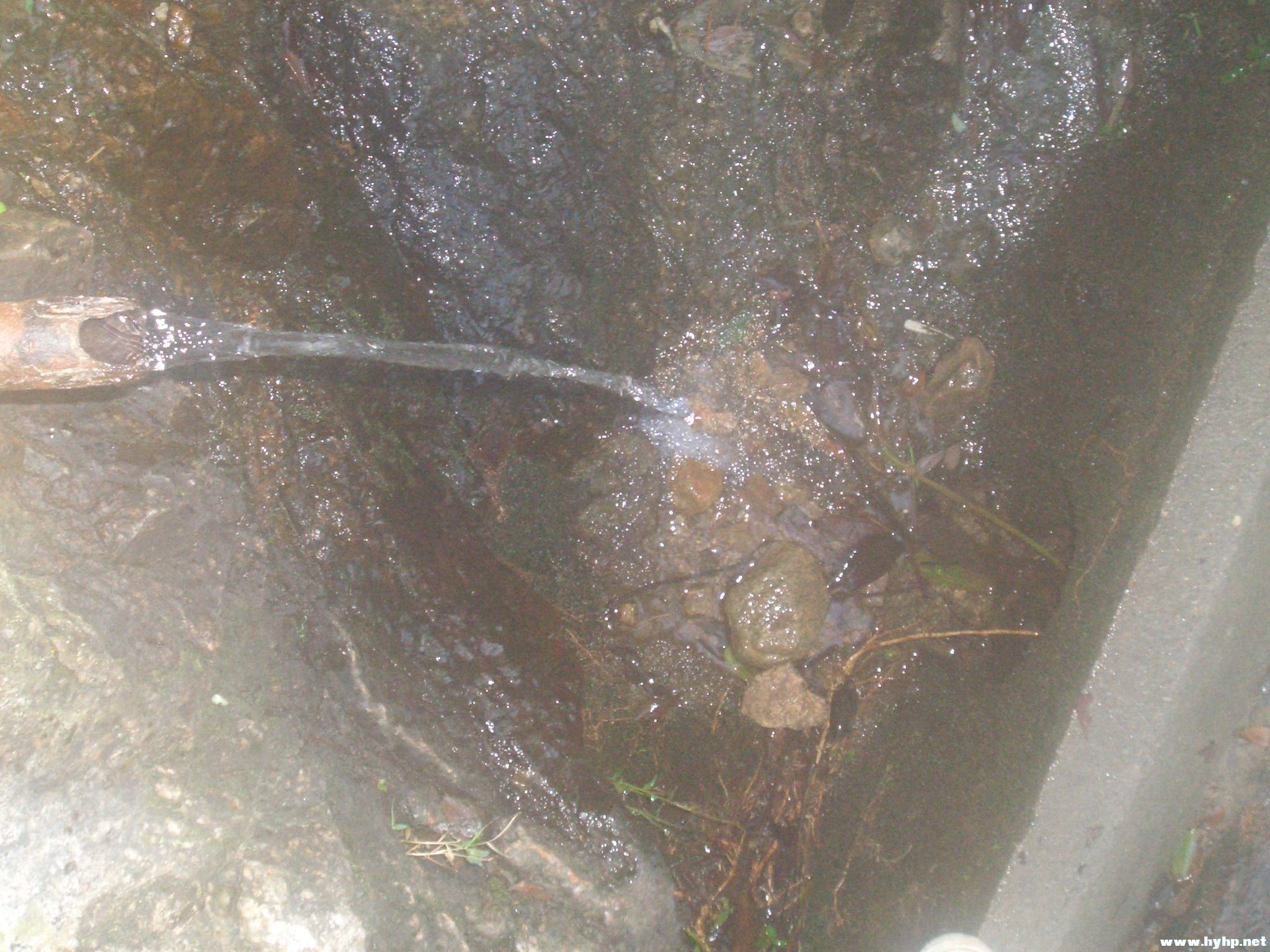 Ƭ 034.jpg