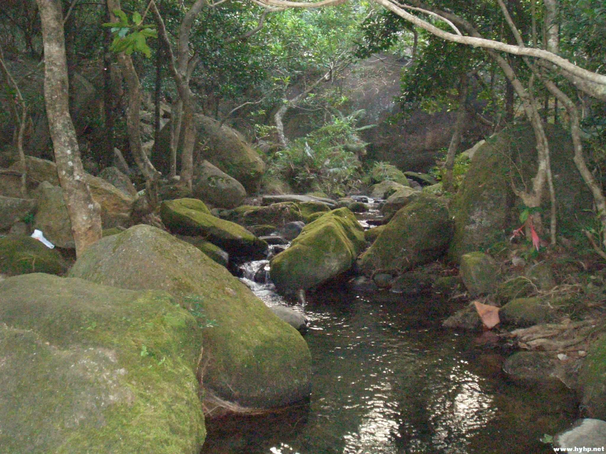 Ƭ 011.jpg
