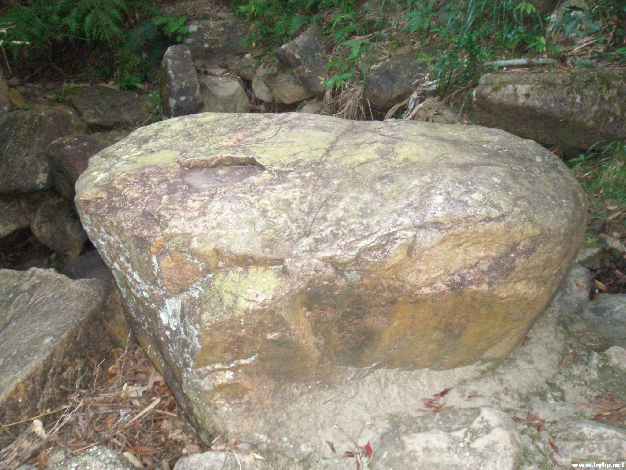 Ƭ 064.jpg