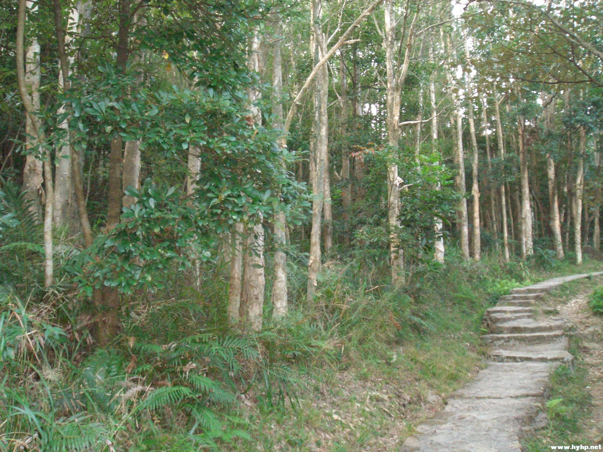Ƭ 096.jpg
